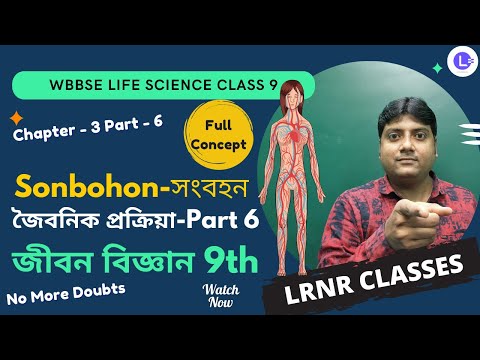 Chapter 3 Sonbohon (সংবহন) Joibonik Prokriya (Part 6)