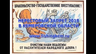Весенний запрет рыбной ловли в кемеровской области