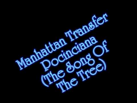Poinciana video