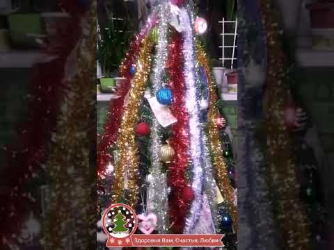 Ёлка- все зависит от нас Чтобы был достаток круглый год Нужно Красиво и правильно наряжать елку