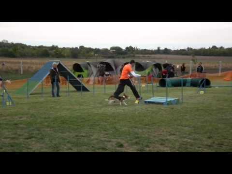 2013.09.29. Kraft Agility Kupa  Laci & Benny A1 futam