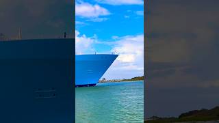 Utopia of the Seas 🛳️ #like #share #comment #subscribe #cruiseship #cruise #vacation #shorts #short