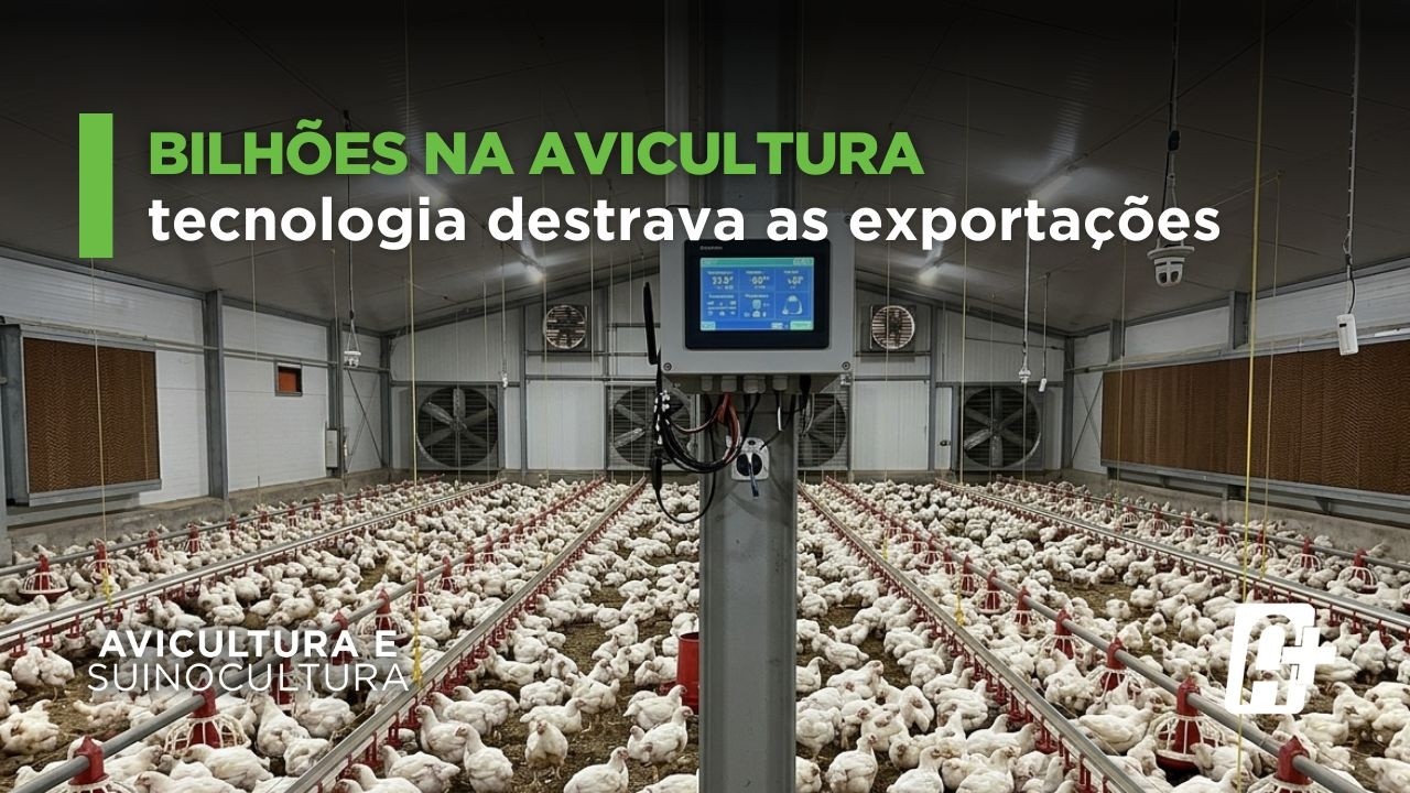 Controle de Amônia: Bilhões na Avicultura com Marcelo Spaziani (Dux) | Avicultura e Suínos