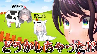 夏のせいでおかしくなったホロメンを心配してマジレスしてしまう大空スバル【ホロライブ切り抜き】