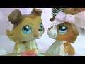 LPS Popular (Fanmade Intro/Music Video) (For ...