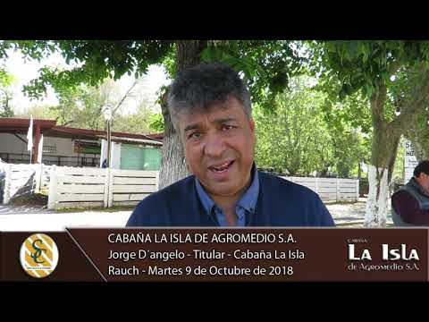 09-10-18 Nota Jorge D´angelo - Titular Cabaña La Isla - Cabaña La Isla de Agromedio S.A. - Rauch