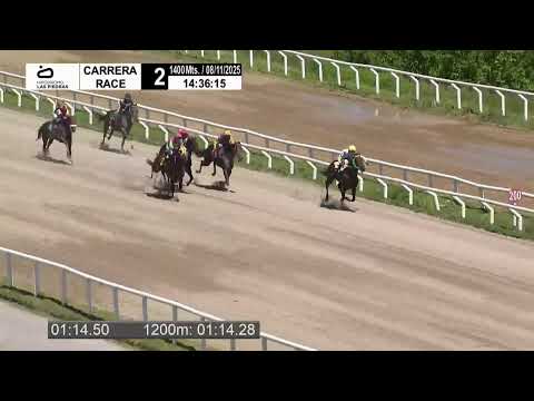 CARRERAS HIPÓDROMO LAS PIEDRAS 21/11/25 | EN VIVO | URUGUAY