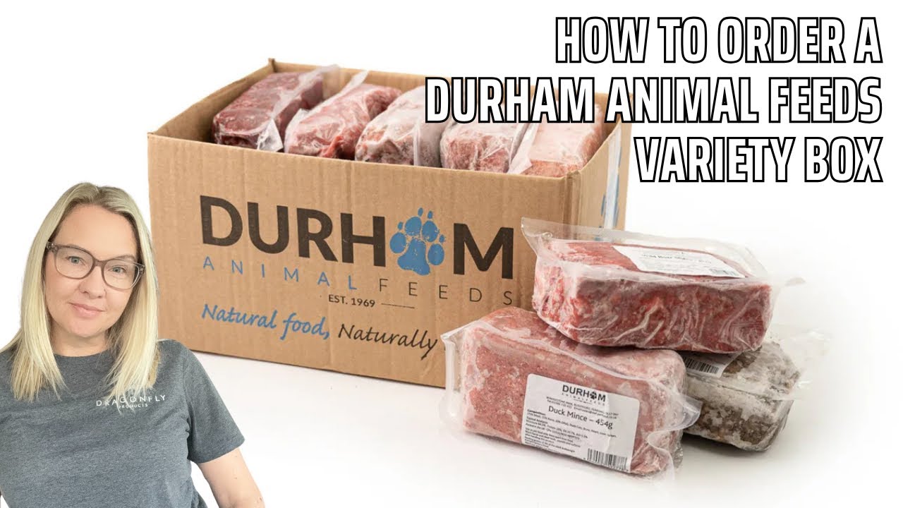 The Cost Effective Way To Order DAF | Video