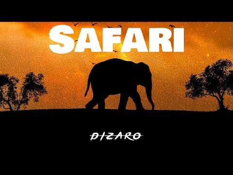 DIZARO - Safari