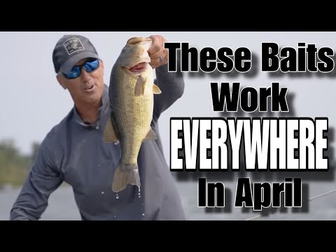 My TOP 3 Baits to use in the month of APRIL
