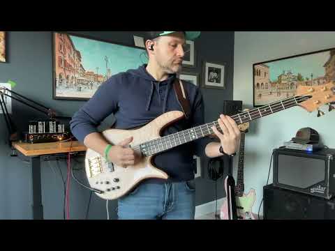 Introduction - Andrea C.