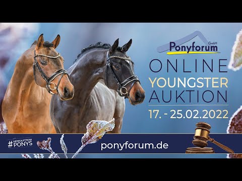 ROCK MY HEART Stute 2019 v. PAV Blomquist / Bünteeichen Cantango