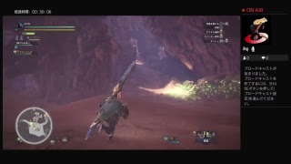（モンスターハンターワールドベータテスト）