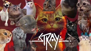 【初見歓迎】猫ミームブームが終わる前に猫ホラゲーやる【#2】