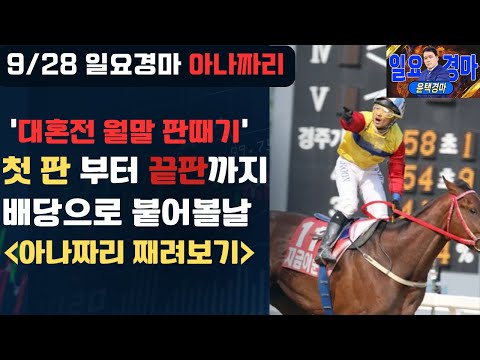 9/28 일요-윤택-경마 아나짜리 한껀잡고 큰걸 메이드 하겠습니다