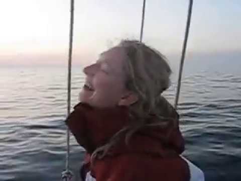 Witsnuitdolfijnen rond zeiljacht Pelikaan 3 t.h.v. Fisherbank 2013