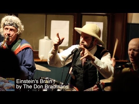 The Don Bradmans - Einstein's Brain (in Lewes, Jan.10th 2014)
