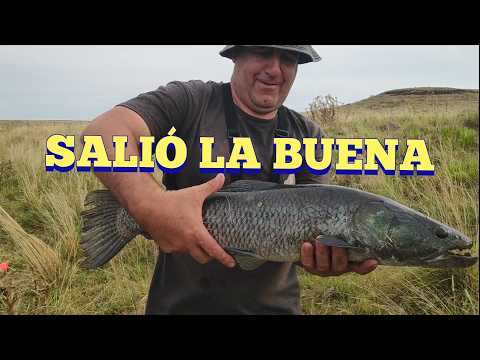 Tarariras a discreción en este arroyo en Pesca en agua dulce