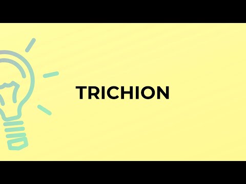 What is the meaning of the word TRICHION?