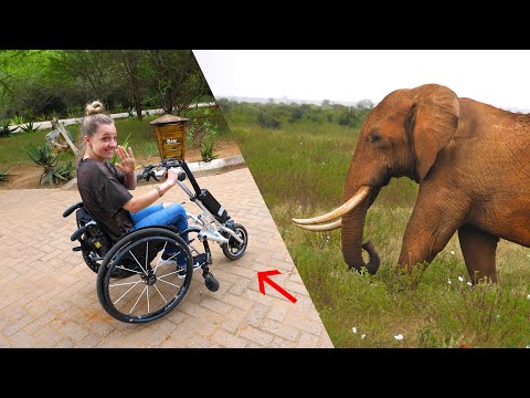 車椅子でサファリができる！？- 電動椅子MOD! (Can you Safari in a Wheelchair?! - Motorized Chair Mod!)