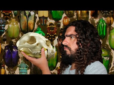 What is a species, anyway? (#Pirula 305)