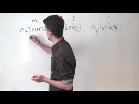 Bosnian/Croatian/Serbian Grammar: Gender of Nouns