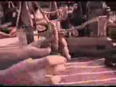 Ki Ad Nekem Penzt - Akela