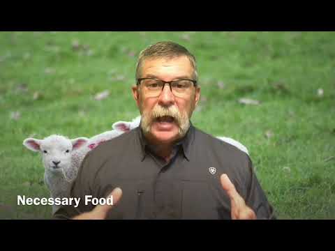 The sincere milk of God’s Word - 1 Peter 2:2-3