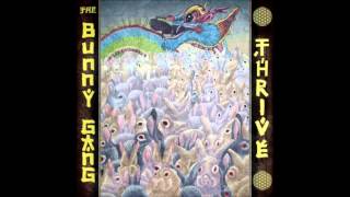 The Bunny Gang - Beach Coma