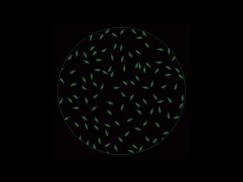 Cicuendez  - Timeless 02 (Original Mix) [DEZ]