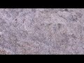 Whitesnake ,  Rough An` Ready + Lyrics