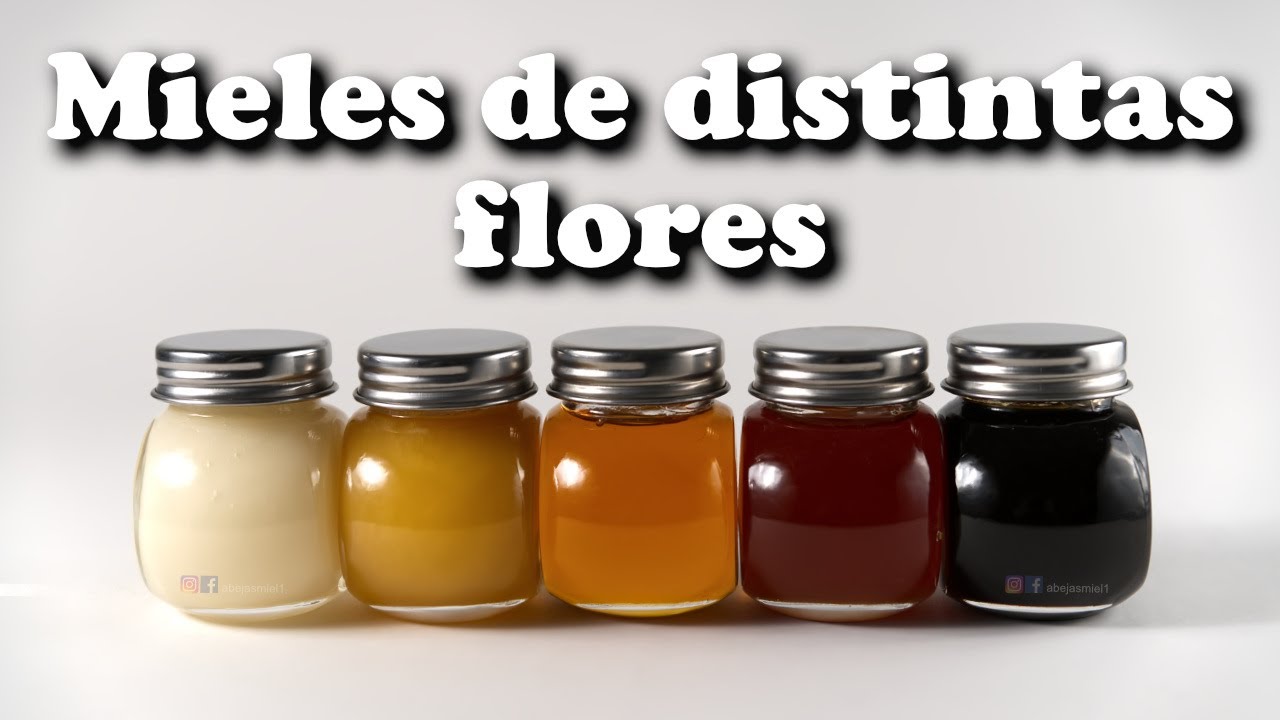 Mieles de distintas flores, dan distintos colores, sabores y consistencias