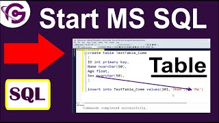 How to Create Table and Insert Record Using SQL Server Management Studio | ProgrammingGeek