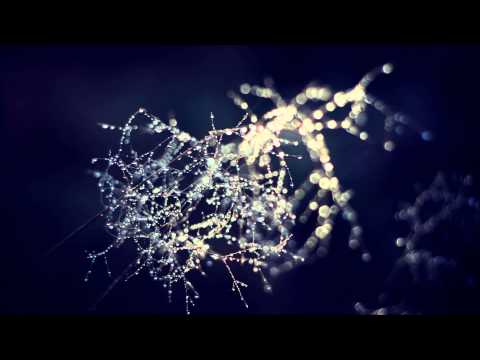 patrick schulze - down the burning ropes