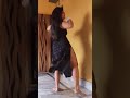 Ria Paul Sexy Erotic Bellydance Dance Bollywood Hot Dancer Love Music