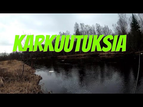 Karkuutuksia | Merikarvianjoki 2020 | Kalastus