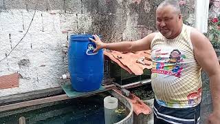 # montando uma caixa para criar peixes mostrando como montar o filtro.🐟🐠🐟🐠