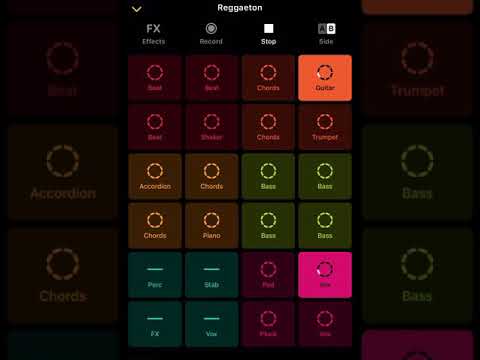 Elite Groovepad - Reggaeton