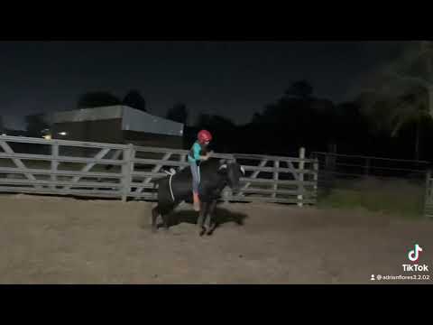 Bull Riding bodacious￼