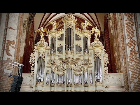 Thomas Arne (1710-1778) - Concerto No.5 g-minor / Andrzej Szadejko & Goldberg Baroque Ensemble LIVE!