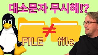 대소문자 구분 없는 파일 시스템의 숨겨진 위험 (토발즈가 뿔난 이유)