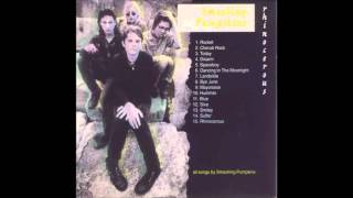 Smashing Pumpkins - Smiley (acoustic 91)