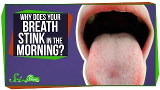 Why Does Your Breath Stink in the Morning?
