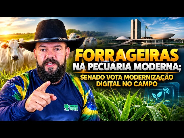 Forrageiras na Pecuária Moderna; Senado Vota Modernização Digital no Campo.