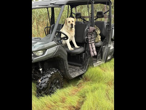 Don and Diane Shipley LIVE - August 24th. Last Live Steam In Maryland. 1800 EST Thumbnail