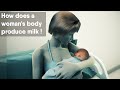 How Does A Woman S Body Produce Milk
