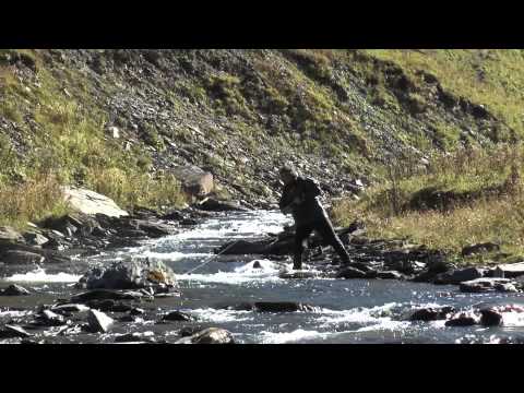 IM WILDEN OSTEN   Trailer