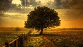 Stelios Vassiloudis & Astrid Suryanto - Feed (Original Mix)