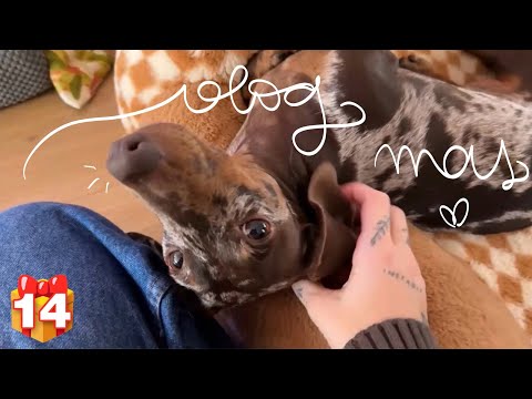 RETURN HOME - VlogMas #14