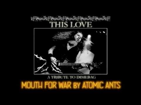 A tribute to Dimebag - Atomic Ants